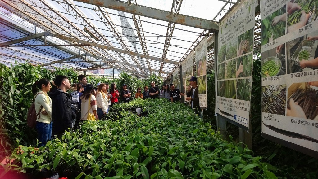香草農夫-台灣香莢蘭生產溫室參觀並聽取解說