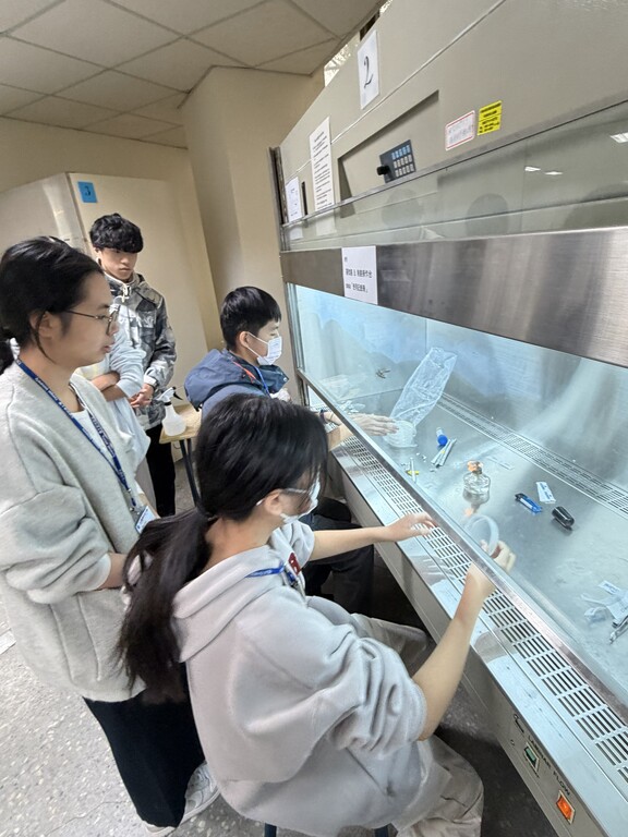學生進入無菌操作台誘發「植物幹細胞」，體驗高端生物技術的奧妙圖片