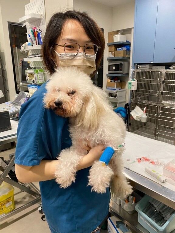 元培寵保系學生蕭羽涵在新加坡實習照護動物