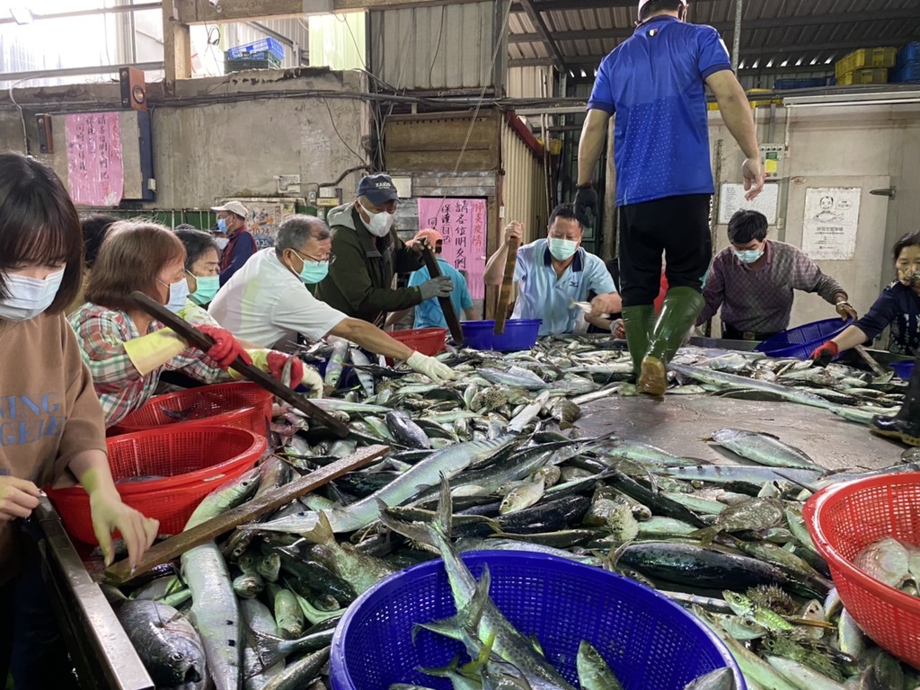 觀光系師生體驗明發定置漁場搶魚大作戰