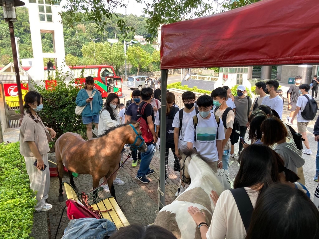元培馬術社利用社團博覽會讓同學近距離接觸馬