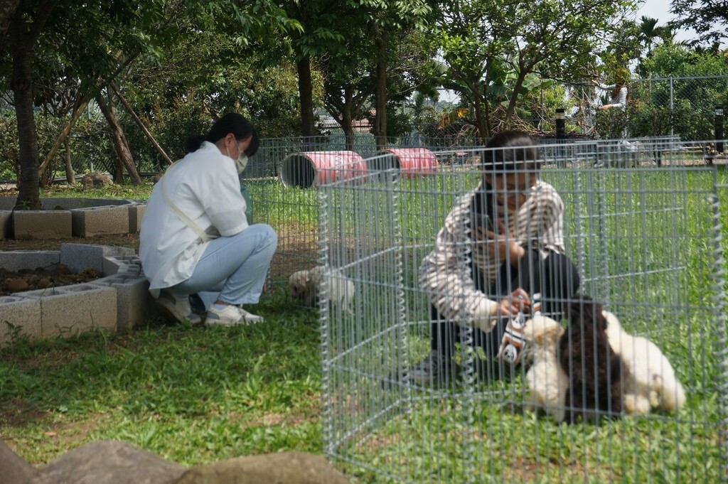 元培寵保系同學們參觀皮卡丘寵物花園,認真觀察繁殖場內飼養的犬隻
