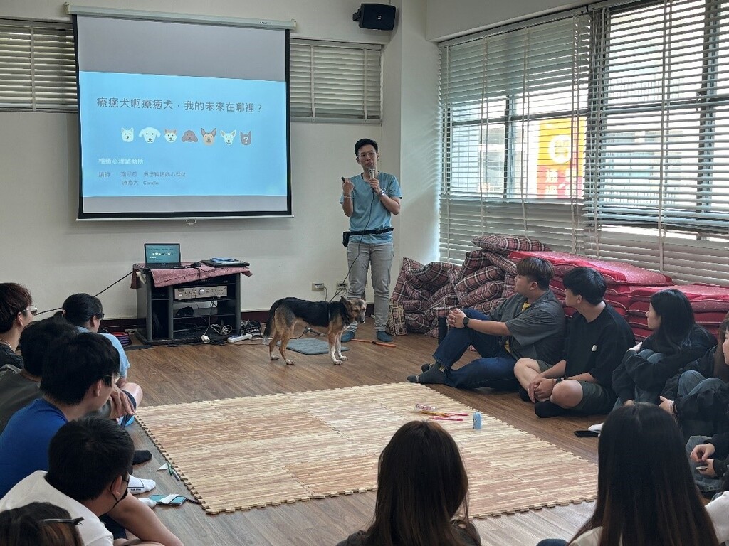 透過與專業訓練的狗狗互動，感受到情緒的撫慰與連結