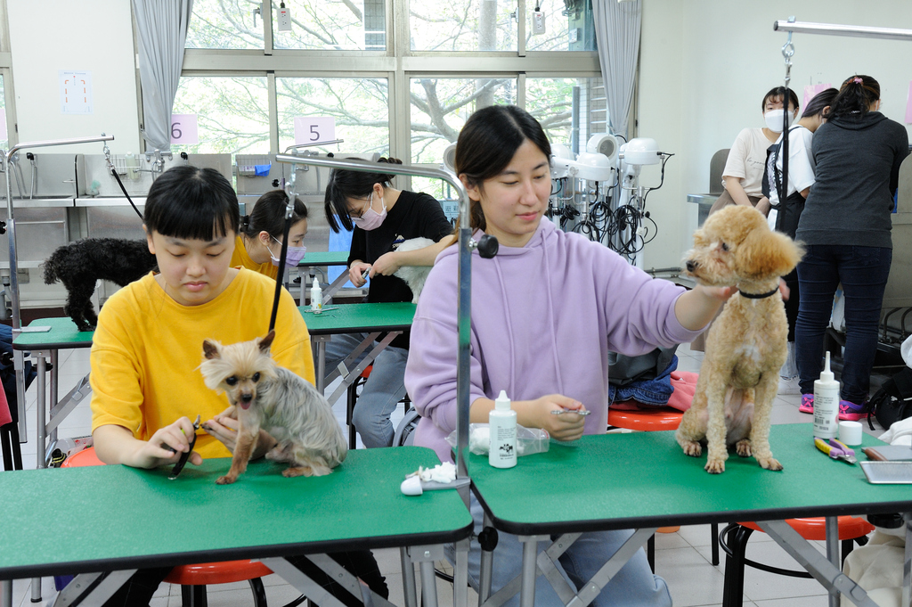 元培寵物保健系吸引海內外對寵物照護有興趣學生