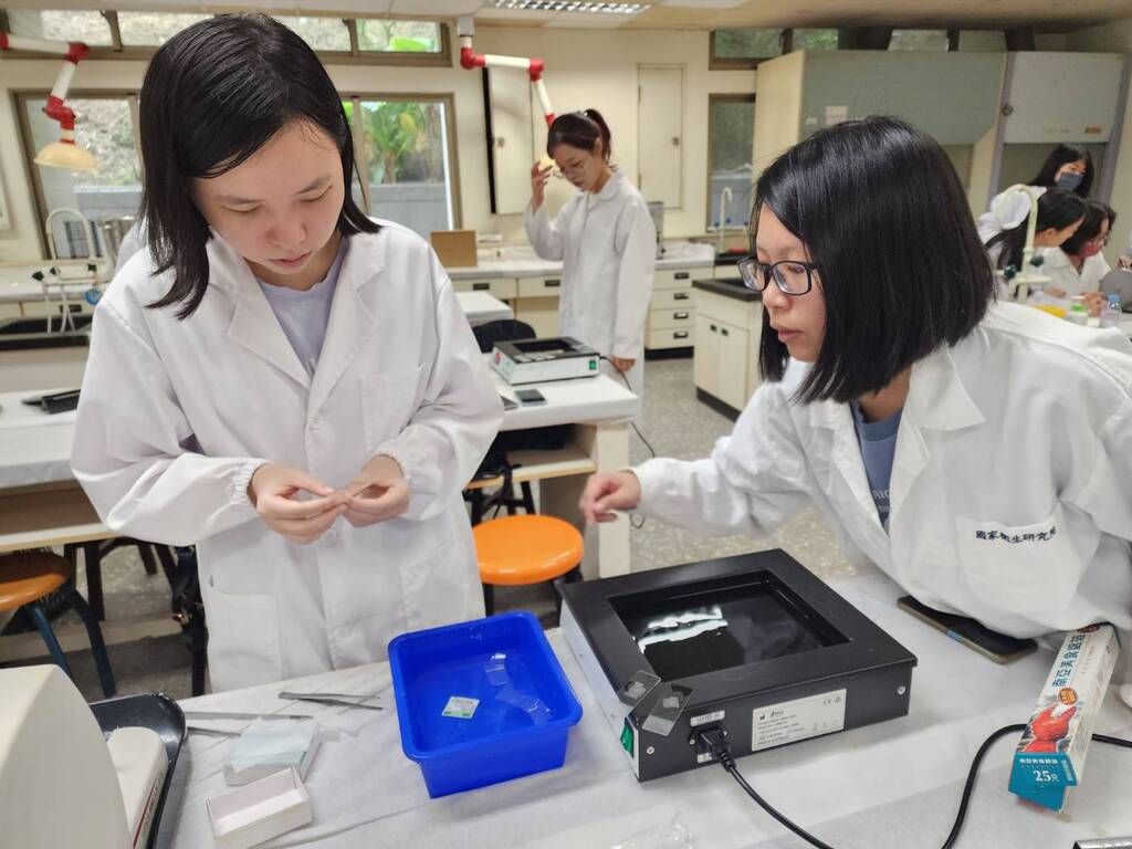 醫學檢驗生物技術系教學助理陳姮伃同學榮獲優等