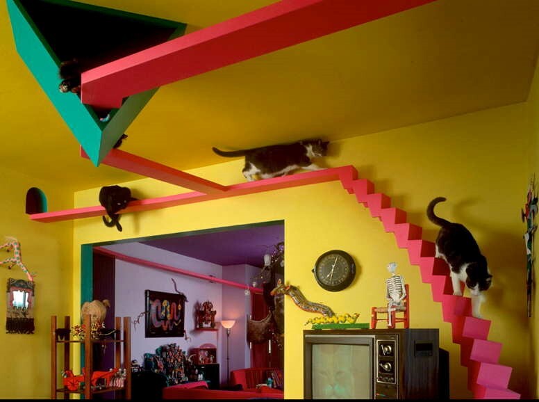 林子軒獸醫師以美國 The Cat’s House為例，介紹如何將貓的生活環境空間立體化，以增加貓咪的活動空間