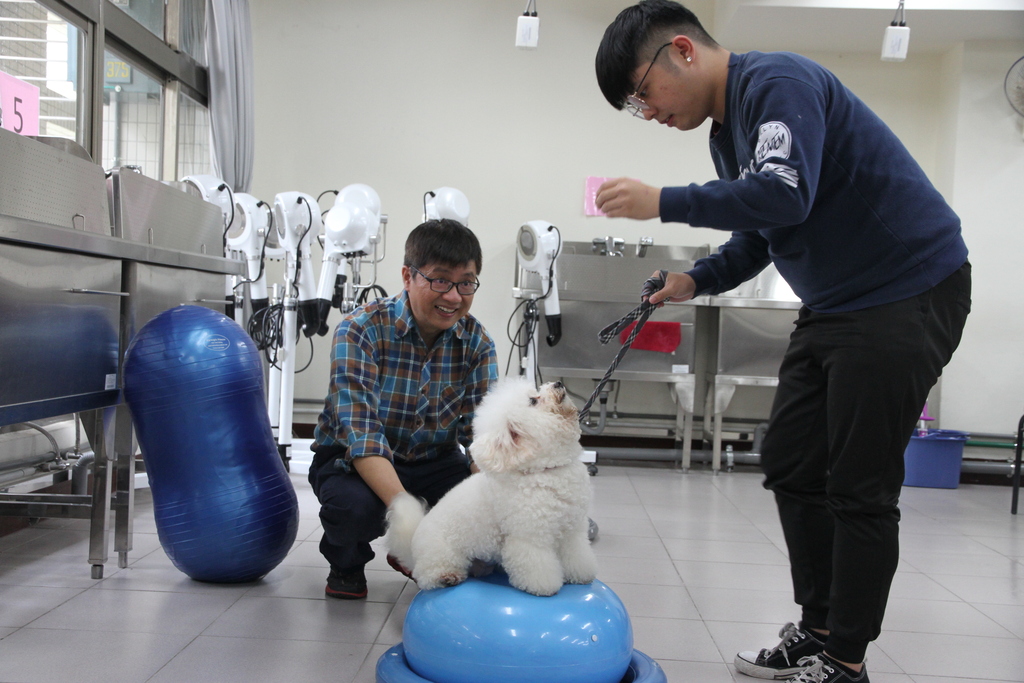 寵物行為與運動復健都是元培寵保學程重要課程