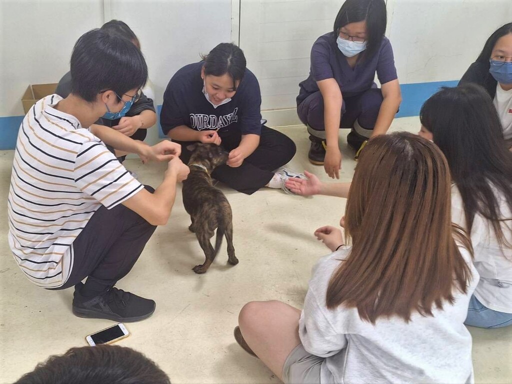 元培寵物保健系學生在苗栗縣動物保護教育園區與狗互動
