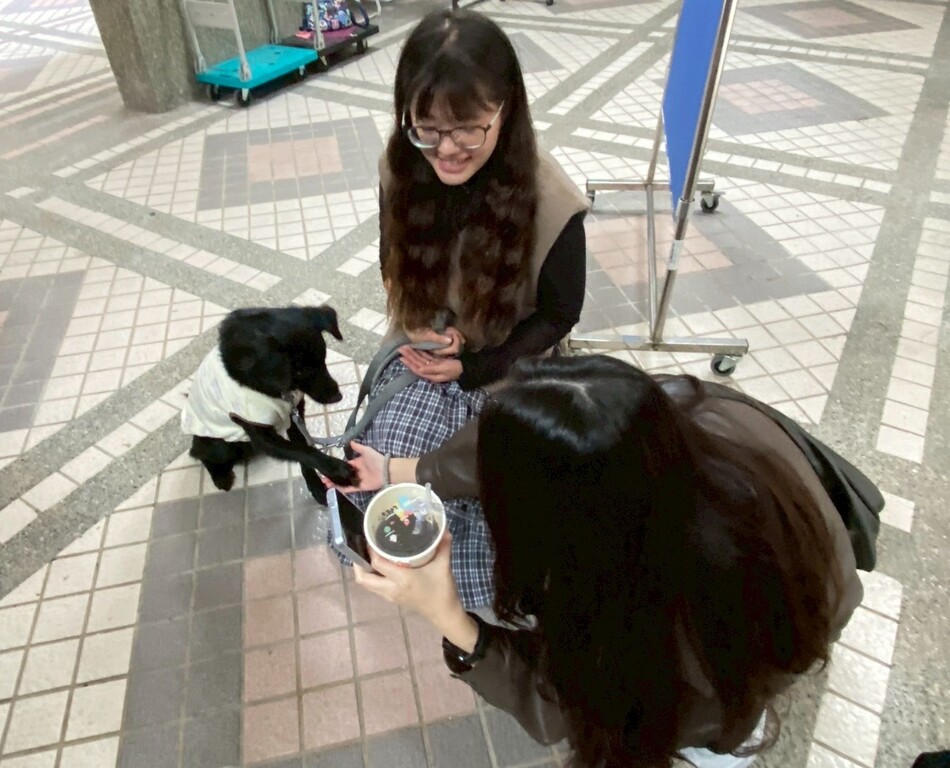 心輔犬協會夥伴偕同汪老師-喜糖與元培同學演練跨越言語的交流圖片